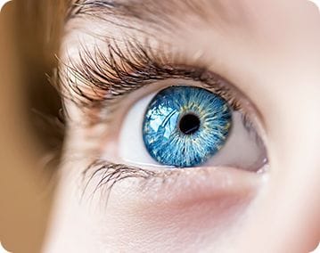 What is Iridology? What is Iridology?